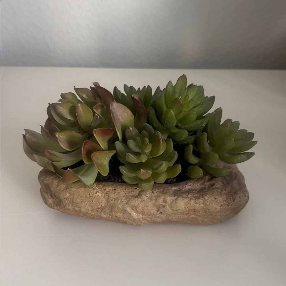 Pottery Barn Faux Succulent & Stone Arrangememt